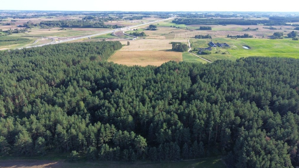 Parduodamas  sklypas Brazavo k., Kalvarijos sav., 902.75 a ploto 4