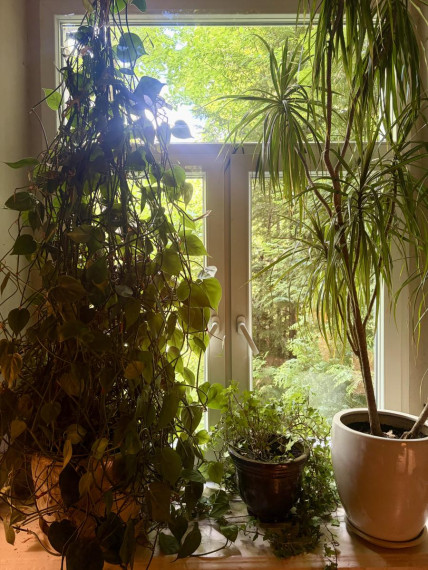 Parduodamas butas Žygio g., Šiaurės miestelis, Vilniaus m., Vilniaus m. sav., 22.48 m² ploto 1 kambarys 6