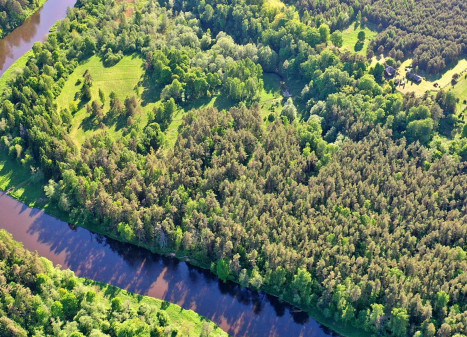 Parduodamas sklypas Ažuožerių k., Anykščių r. sav., 360 a ploto