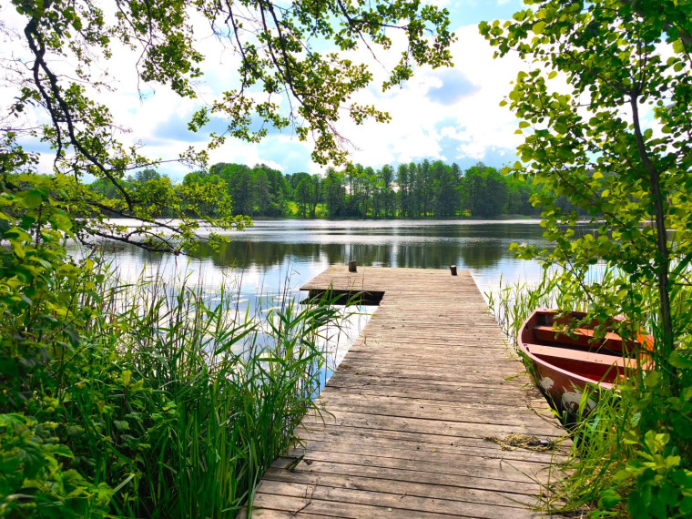 Parduodamas namas Ežero g., Biržūnų k., Zarasų r. sav., 161.00 m² ploto 5 kambariai 19