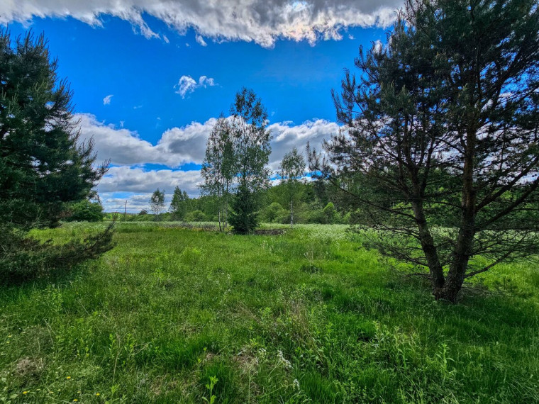 Parduodamas  sklypas Mamavio k., Trakų r. sav., 140 a ploto 1