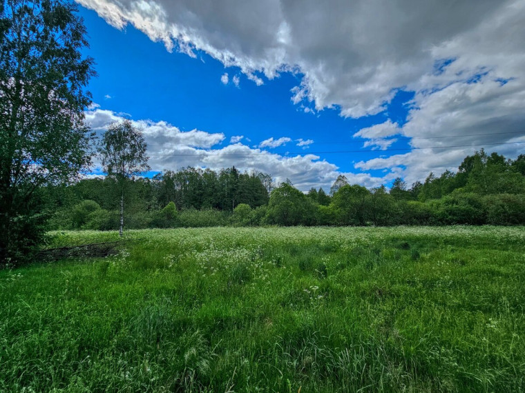 Parduodamas  sklypas Mamavio k., Trakų r. sav., 140 a ploto 2