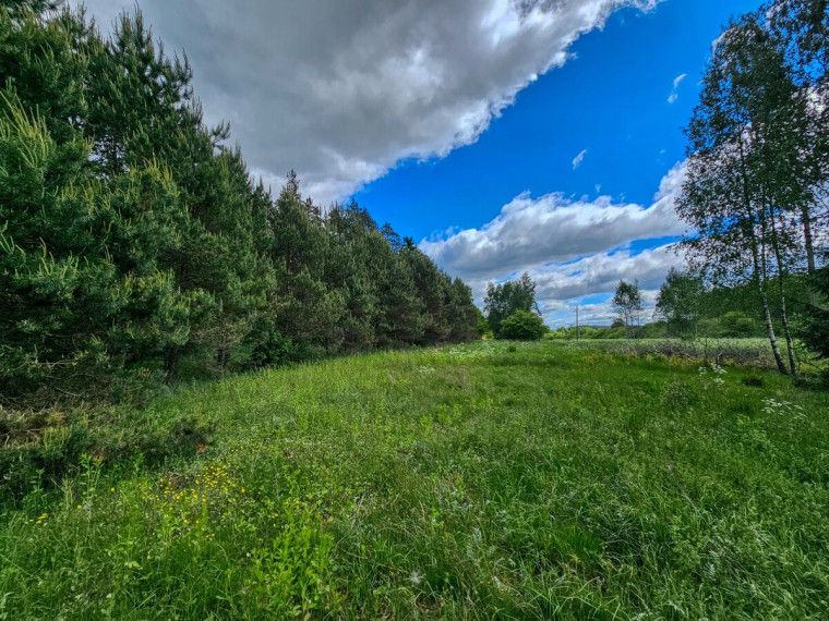 Parduodamas  sklypas Mamavio k., Trakų r. sav., 140 a ploto 3