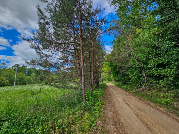 Parduodamas  sklypas Mamavio k., Trakų r. sav., 140 a ploto 4