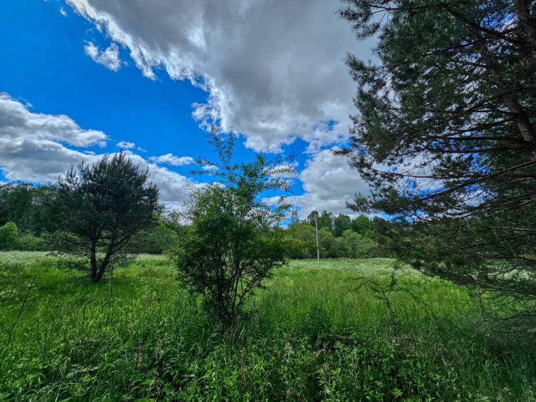 Parduodamas  sklypas Mamavio k., Trakų r. sav., 140 a ploto 5