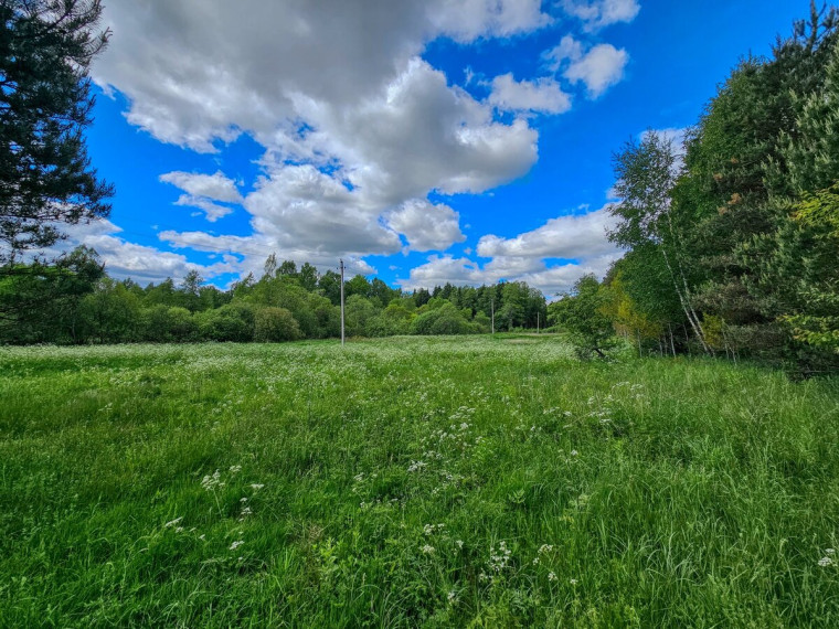 Parduodamas  sklypas Mamavio k., Trakų r. sav., 140 a ploto 8