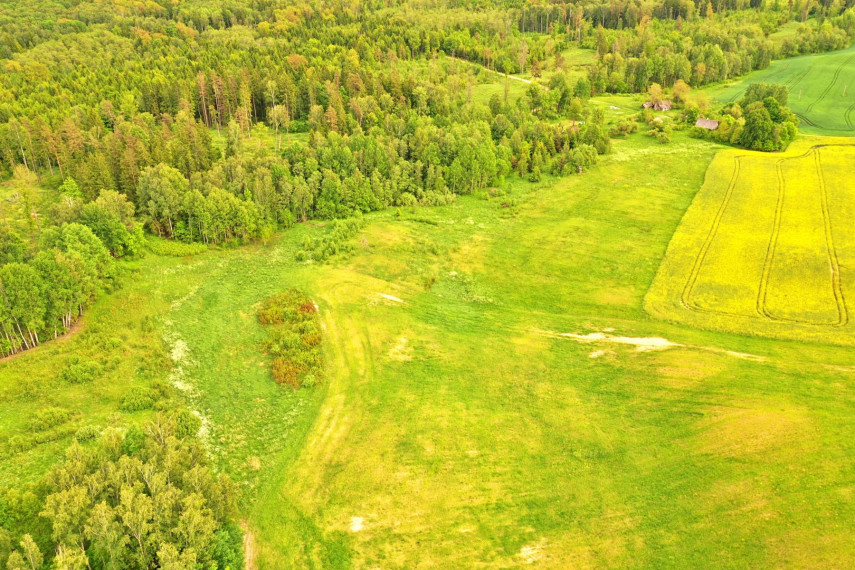 Parduodamas sklypas Nečiūnų k., Trakų r. sav., 250 a ploto 3