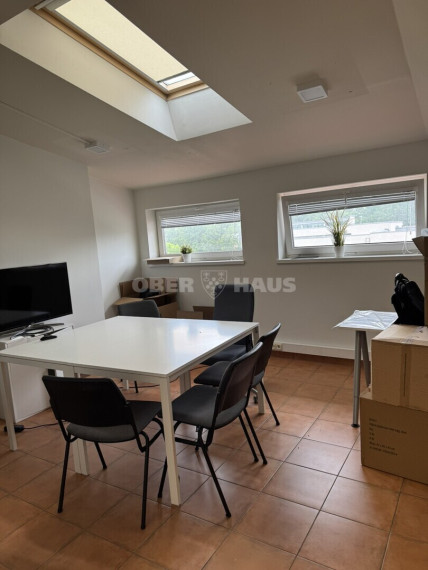 Nuomojamos administracinės, kitos paskirties patalpos J. Urbšio g., Centras, Panevėžio m., Panevėžio m. sav., 156.21 m2 ploto 4