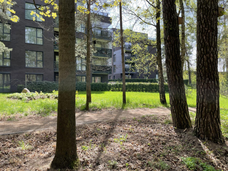 Parduodamas butas Vytauto Žalakevičiaus g., Antakalnis, Vilniaus m., Vilniaus m. sav., 53.09 m² ploto 2 kambariai 12