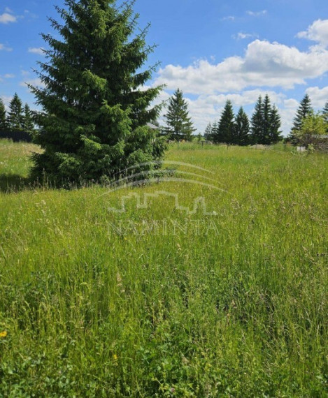 Parduodamas  sklypas Rubulių k., Kretingos r. sav., 6 a ploto 2