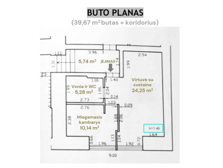 Parduodamas butas P. Vileišio g., Vilniaus m., Vilniaus m. sav., 40 m2 ploto, 2 kambariai 20