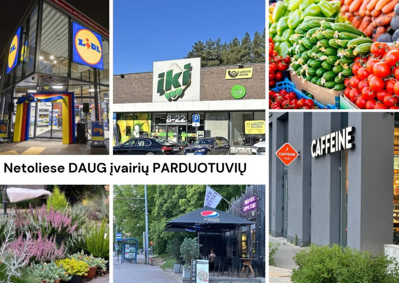 Parduodamas butas P. Vileišio g., Vilniaus m., Vilniaus m. sav., 40 m2 ploto, 2 kambariai 35