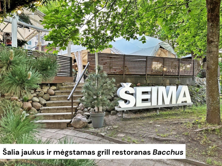 Parduodamas butas P. Vileišio g., Vilniaus m., Vilniaus m. sav., 40 m2 ploto, 2 kambariai 38