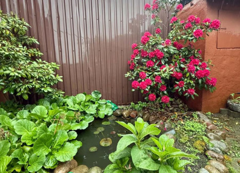 Parduodamas butas Žūklės g., Smeltė, Klaipėdos m., Klaipėdos m. sav., 35 m² ploto 2 kambariai Parduodamas butas Žūklės g., Smeltė, Klaipėdos m., Klaipėdos m. sav., 35 m² ploto 2 kambariai