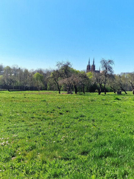 Parduodamas namas Salantų m., Kretingos r. sav., 196 m2 ploto, 2 aukštai 8