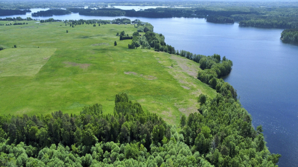 Parduodamas  sklypas Skeldų k., Zarasų r. sav., 938 a ploto 11