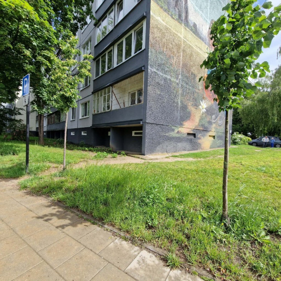 Parduodamas butas Šaltinių g., Alytaus m., Alytaus m. sav., 63.73 m2 ploto, 3 kambariai 18