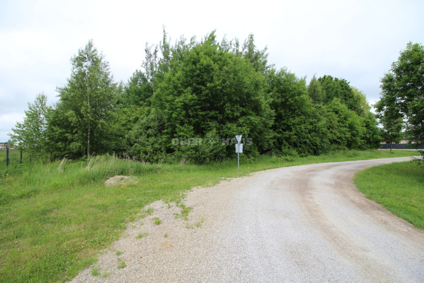Parduodamas žemės ūkio paskirties sklypas Vijolių k., Šiaulių r. sav., 190.5 a ploto 11