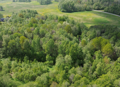Parduodamas sklypas Vijeikių k., Utenos r. sav., 28.58 a ploto