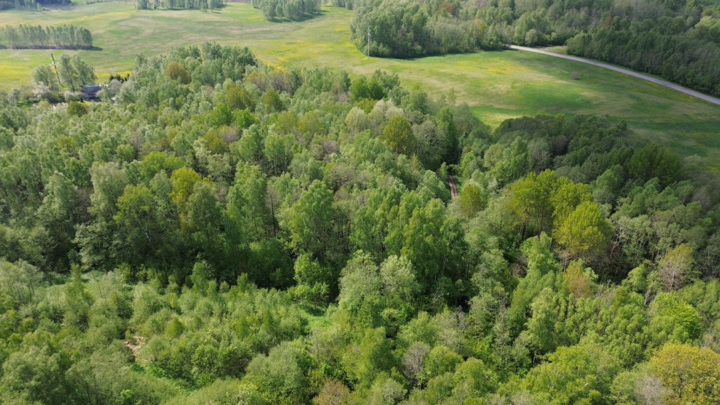 Parduodamas sklypas Vijeikių k., Utenos r. sav., 28.58 a ploto 1