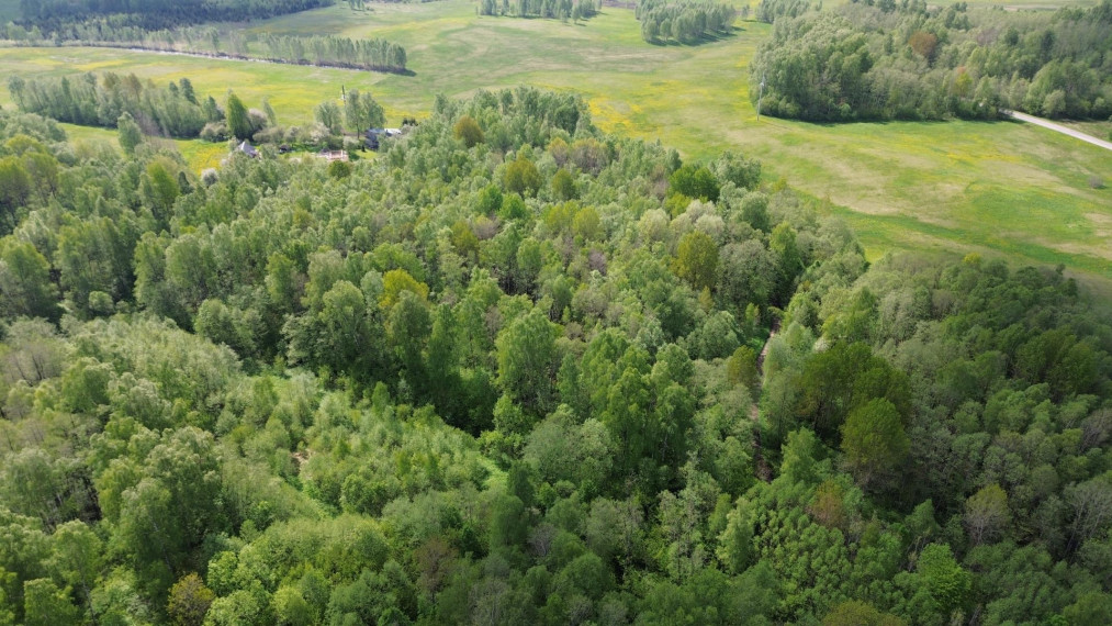 Parduodamas sklypas Vijeikių k., Utenos r. sav., 28.58 a ploto 2