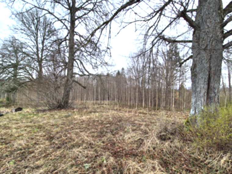 Parduodamas namas Padvario k., Molėtų r. sav., 19.77 m² ploto 3 kambariai 15