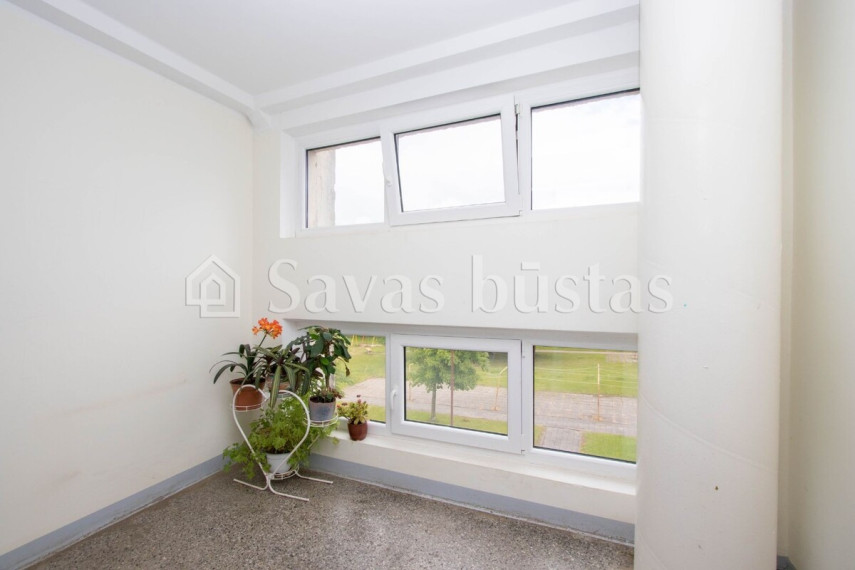 Nuomojamas butas K. Korsako g., Šiaulių m., Šiaulių m. sav., 50 m2 ploto, 2 kambariai 16