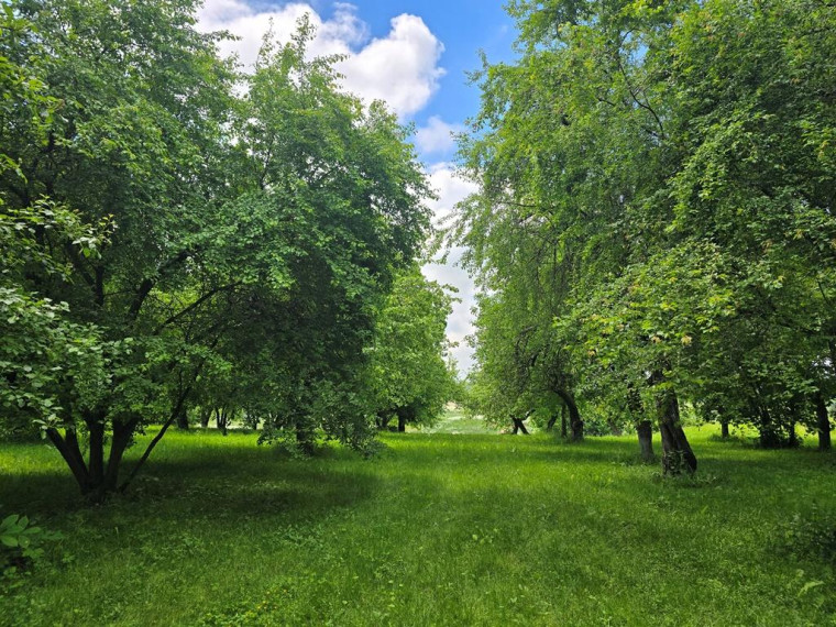 Parduodamas namas Toleikių k., Utenos r. sav., 97.16 m² ploto 3 kambariai 32