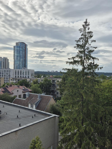 Nuomojamas butas Muitinės g., Naujamiestis, Vilniaus m., Vilniaus m. sav., 19.00 m² ploto 1 kambarys 9