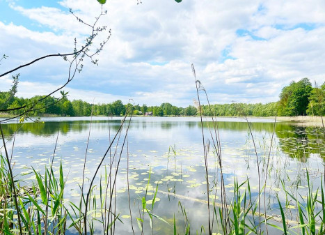 Parduodamas namas Biržūnų k., Zarasų r. sav., 115.82 m² ploto 4 kambariai