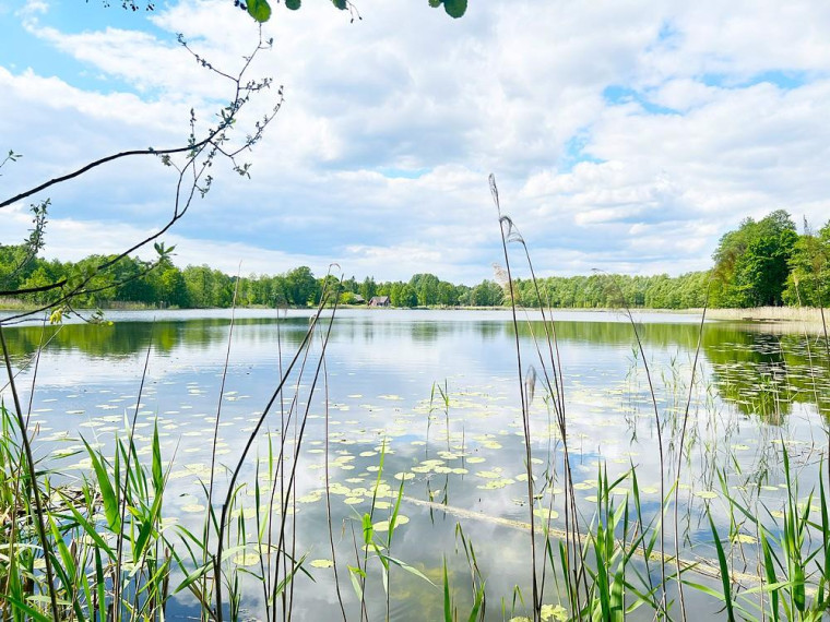 Parduodamas namas Biržūnų k., Zarasų r. sav., 115.82 m² ploto 4 kambariai 1