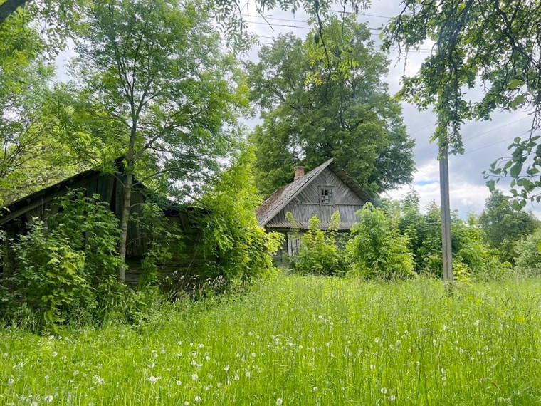 Parduodamas namas Biržūnų k., Zarasų r. sav., 115.82 m² ploto 4 kambariai 12