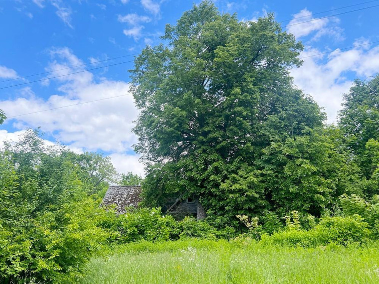 Parduodamas namas Biržūnų k., Zarasų r. sav., 115.82 m² ploto 4 kambariai 14