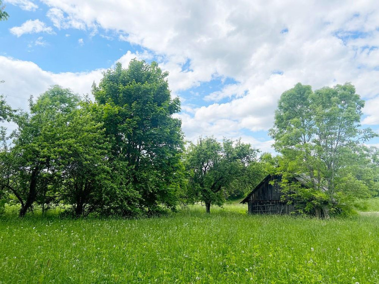 Parduodamas namas Biržūnų k., Zarasų r. sav., 115.82 m² ploto 4 kambariai 19