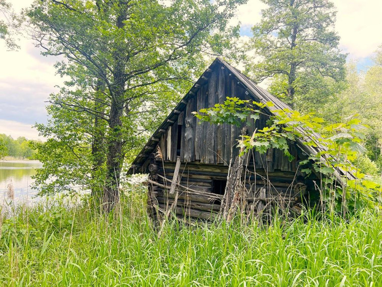 Parduodamas namas Biržūnų k., Zarasų r. sav., 115.82 m² ploto 4 kambariai 3