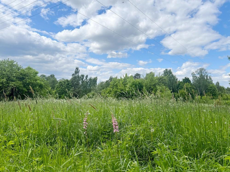 Parduodamas namas Biržūnų k., Zarasų r. sav., 115.82 m² ploto 4 kambariai 23