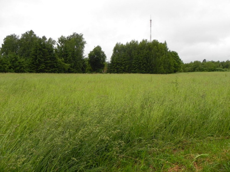 Parduodamas sklypas Vytauto g., Viešintų k., Anykščių r. sav., 43.00 a ploto 6