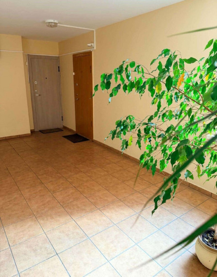 Parduodamas butas Klaipėdos apskritis, Klaipėda, Vėtrungės, Taikos pr., 32 m2 ploto, 1 kambariai 7