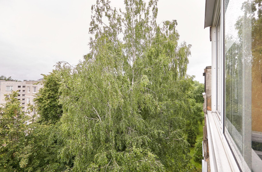 Parduodamas butas Ašigalio g., Eiguliai, Kauno m., Kauno m. sav., 37 m² ploto 1 kambarys 18