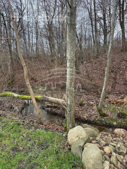 Parduodamas  sklypas Purmalių k., Klaipėdos r. sav., 10 a ploto 5