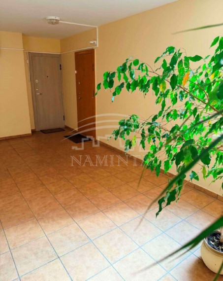 Parduodamas butas Taikos pr., Vėtrungė, Klaipėdos m., Klaipėdos m. sav., 32 m2 ploto, 1 kambariai 6