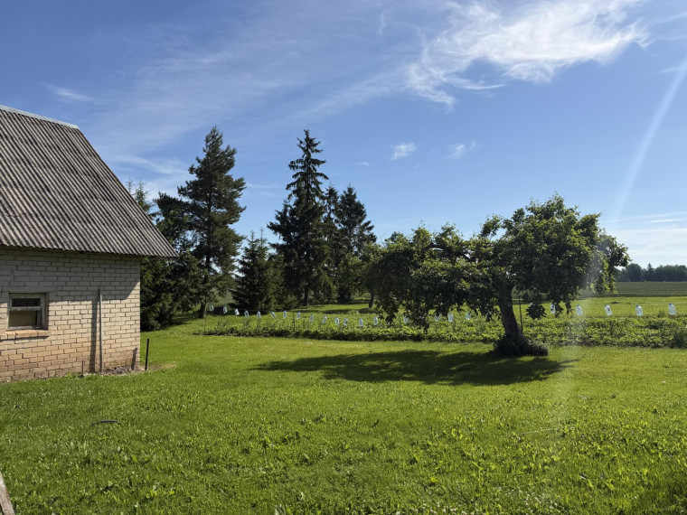 Parduodamas namas Krinčino g., Papyvesių k., Pasvalio r. sav., 88.00 m² ploto 4 kambariai 5