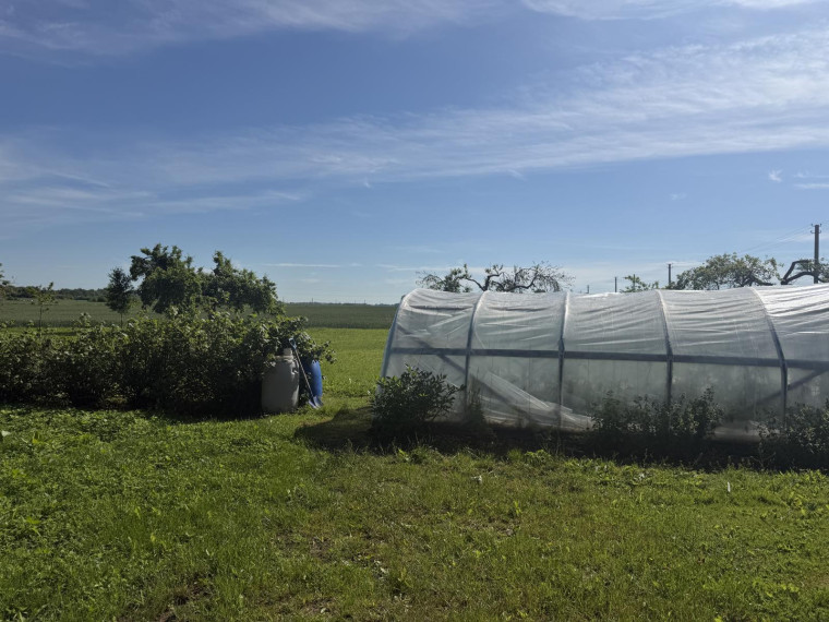 Parduodamas namas Krinčino g., Papyvesių k., Pasvalio r. sav., 88.00 m² ploto 4 kambariai 9