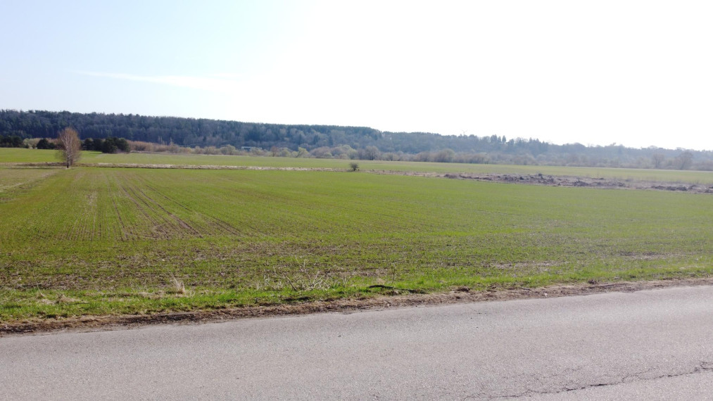 Parduodamas sklypas Jadagonių k., Kauno r. sav., 546.36 a ploto 2