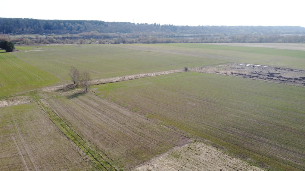 Parduodamas sklypas Jadagonių k., Kauno r. sav., 546.36 a ploto 24