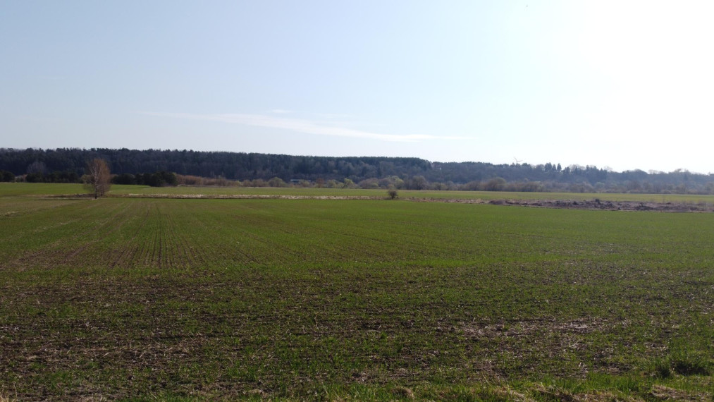 Parduodamas sklypas Jadagonių k., Kauno r. sav., 546.36 a ploto 6