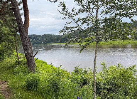 Parduodamas namas Neries g., Guldynų k., Jonavos r. sav., 39.27 m2 ploto, 2 aukštai Parduodamas namas Neries g., Guldynų k., Jonavos r. sav., 39.27 m2 ploto, 2 aukštai