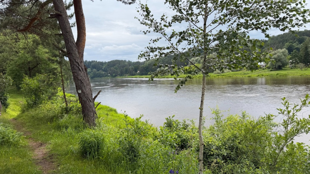 Parduodamas namas Neries g., Guldynų k., Jonavos r. sav., 39.27 m2 ploto, 2 aukštai 16