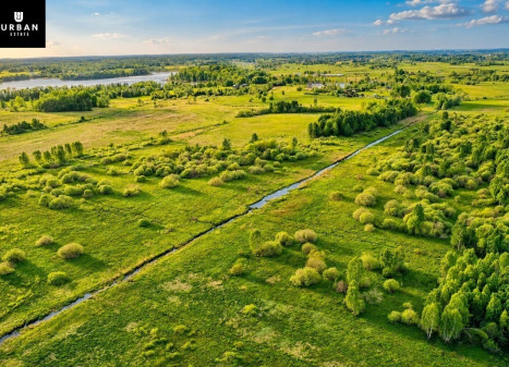 Parduodamas žemės ūkio sklypas šalia Žalesos upelio, 86.31 a ploto