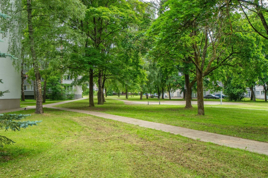 Parduodamas butas Žirmūnų g., Vilniaus m., Vilniaus m. sav., 48 m2 ploto, 2 kambariai 41